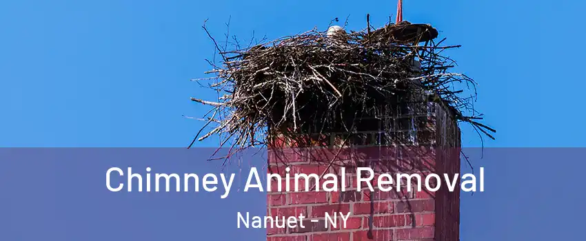  Chimney Animal Removal Nanuet - NY