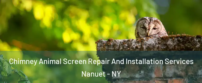  Chimney Animal Screen Repair And Installation Services Nanuet - NY