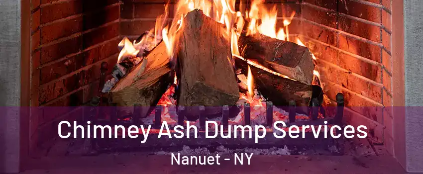  Chimney Ash Dump Services Nanuet - NY