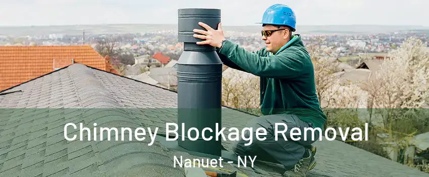  Chimney Blockage Removal Nanuet - NY