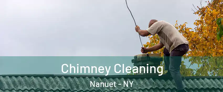  Chimney Cleaning Nanuet - NY