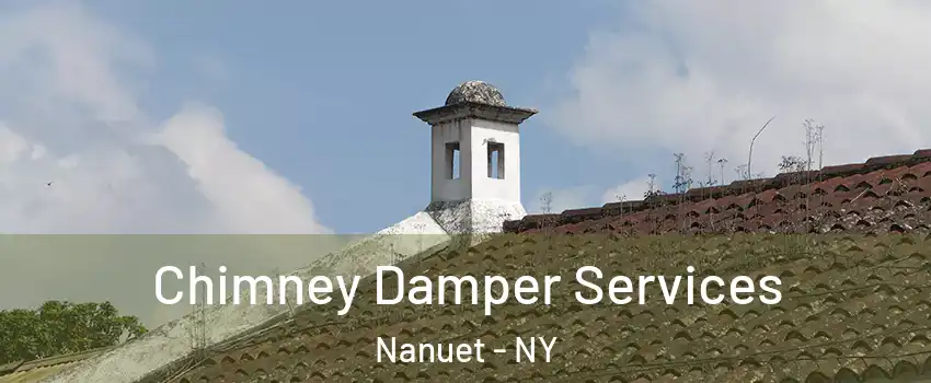  Chimney Damper Services Nanuet - NY