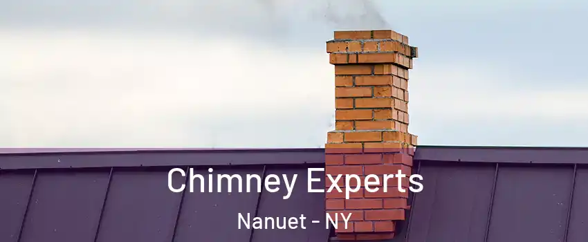  Chimney Experts Nanuet - NY