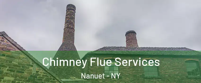  Chimney Flue Services Nanuet - NY