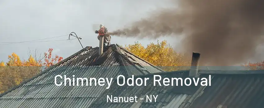  Chimney Odor Removal Nanuet - NY