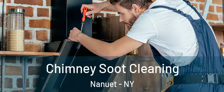  Chimney Soot Cleaning Nanuet - NY