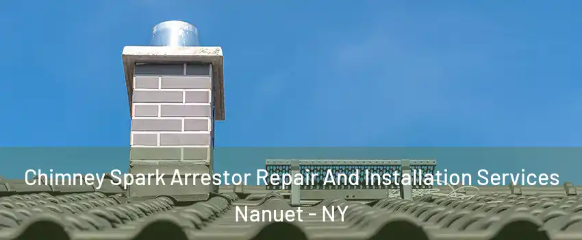  Chimney Spark Arrestor Repair And Installation Services Nanuet - NY