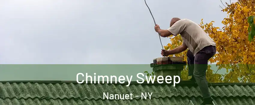  Chimney Sweep Nanuet - NY