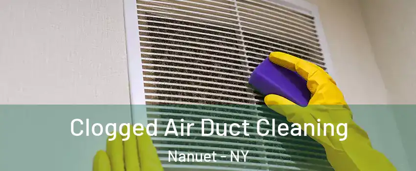  Clogged Air Duct Cleaning Nanuet - NY
