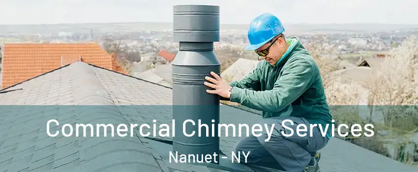  Commercial Chimney Services Nanuet - NY