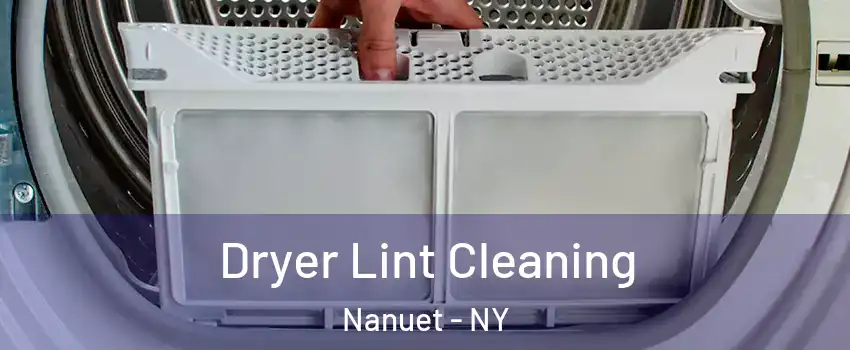  Dryer Lint Cleaning Nanuet - NY