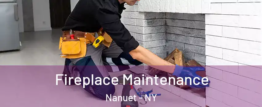  Fireplace Maintenance Nanuet - NY