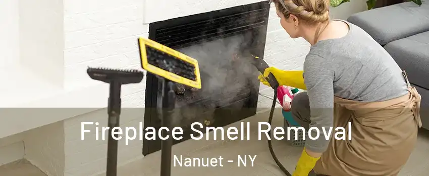  Fireplace Smell Removal Nanuet - NY
