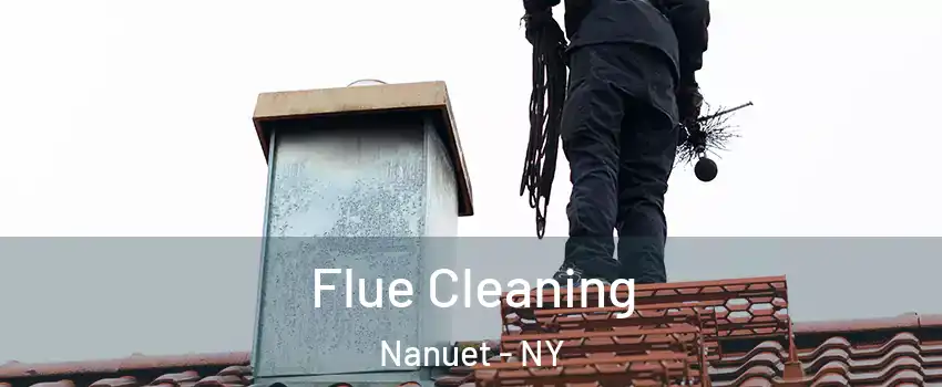  Flue Cleaning Nanuet - NY