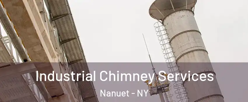  Industrial Chimney Services Nanuet - NY