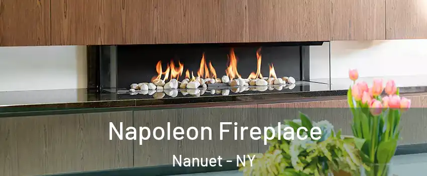  Napoleon Fireplace Nanuet - NY