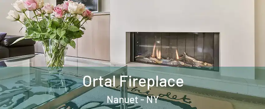  Ortal Fireplace Nanuet - NY