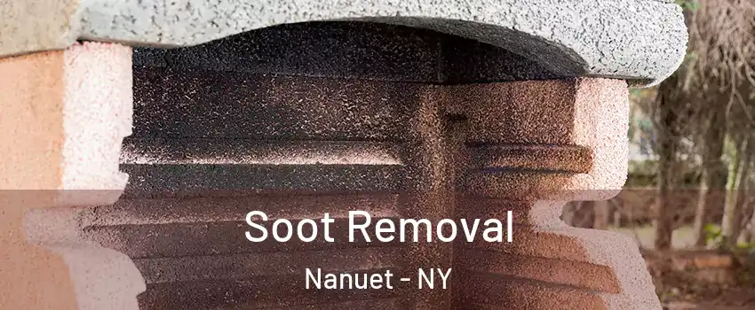  Soot Removal Nanuet - NY